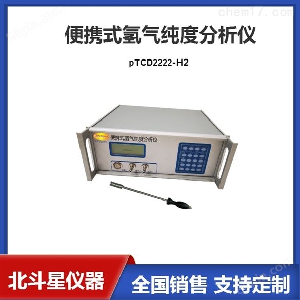 pTCD2222氢气纯度分析仪生产