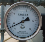 YTP100B不锈钢隔膜压力表 衬四氟隔膜压力表