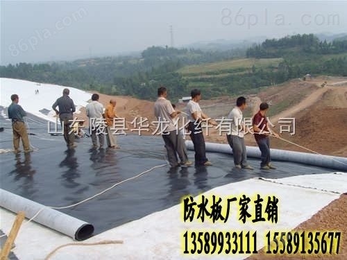 供应HDPE防水板厂家13589933111